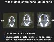 Anteprima - Clicca per ingrandire